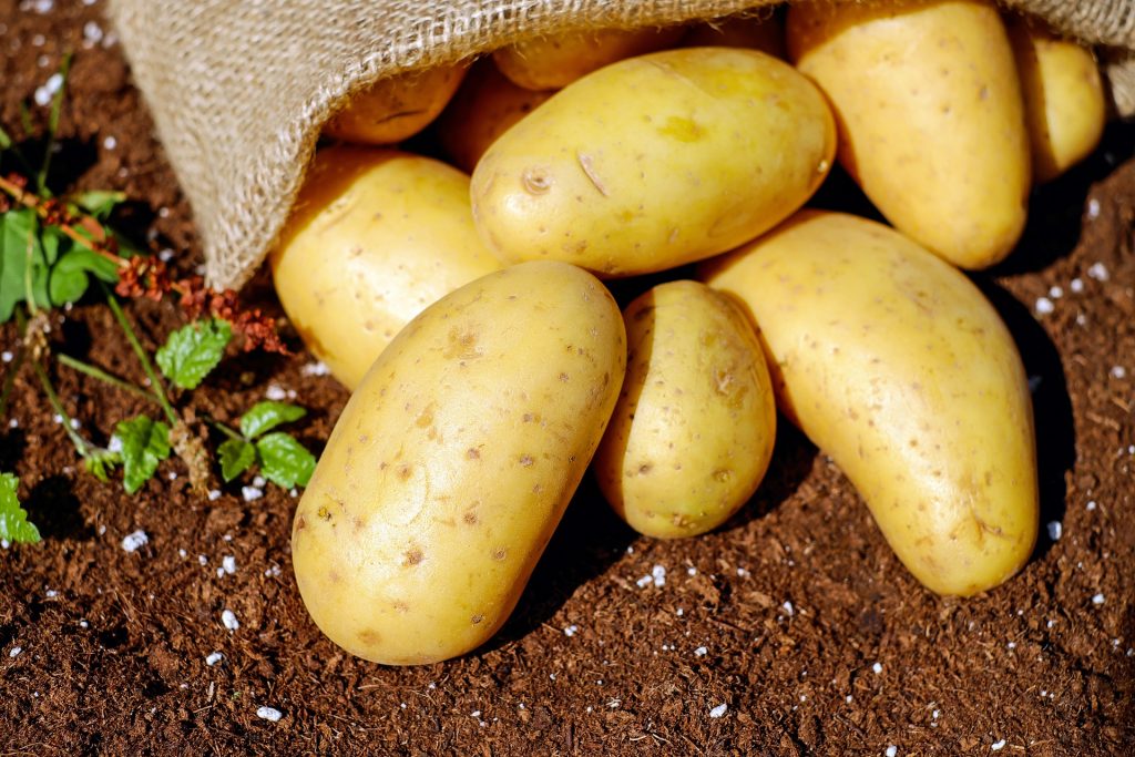 Best And Worst Companion Plants for Potatoes
